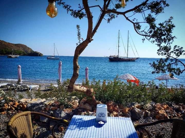 Datca Masal Gibi المظهر الخارجي الصورة