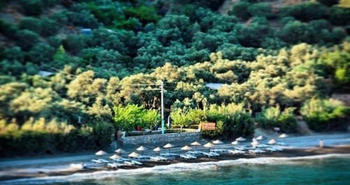 Datca Masal Gibi المظهر الخارجي الصورة